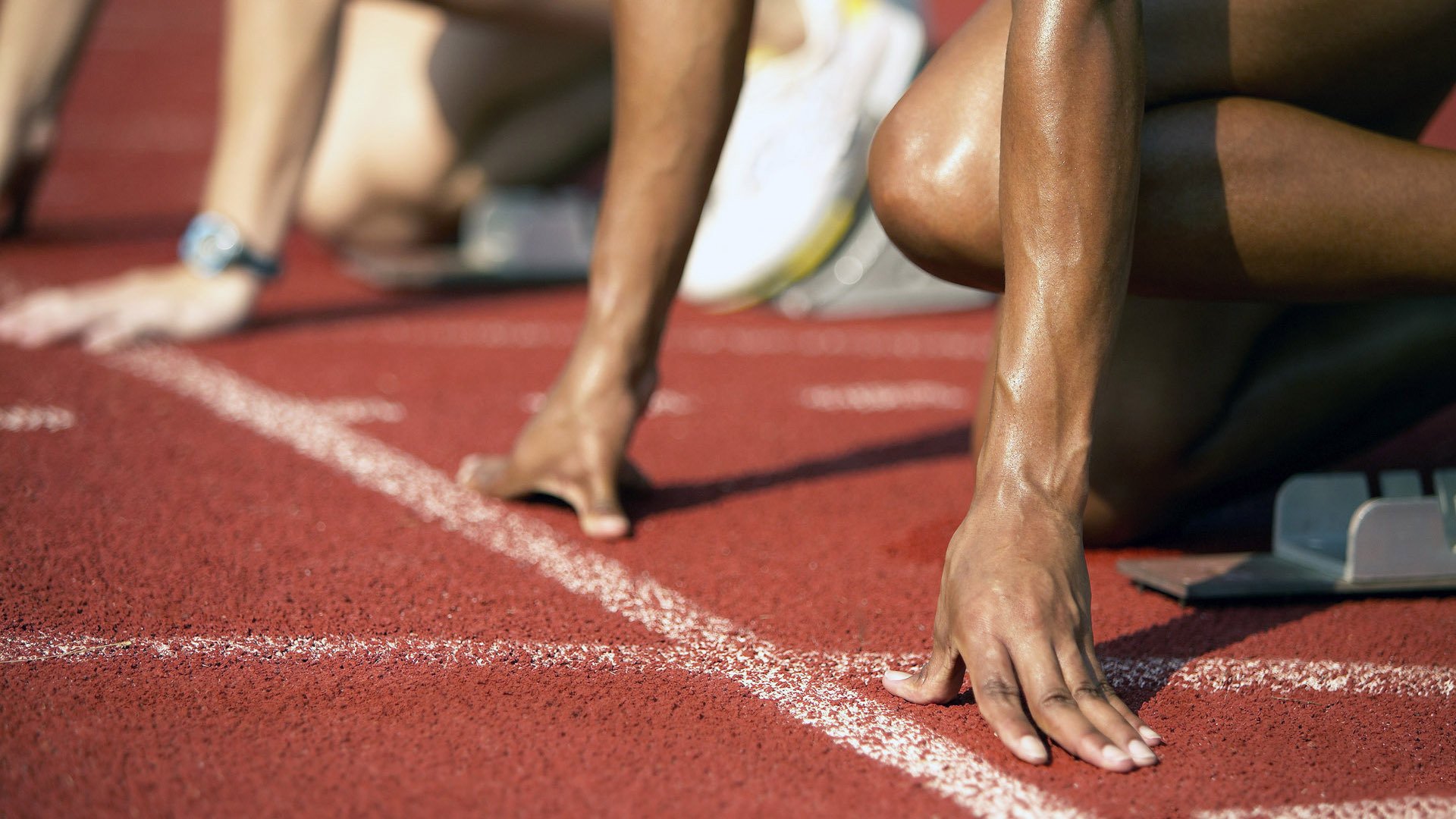 技术雷达图显示动作标准化趋势，雷达图像目标识别